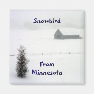 Minnesotasnowbird-Magnet Magnet