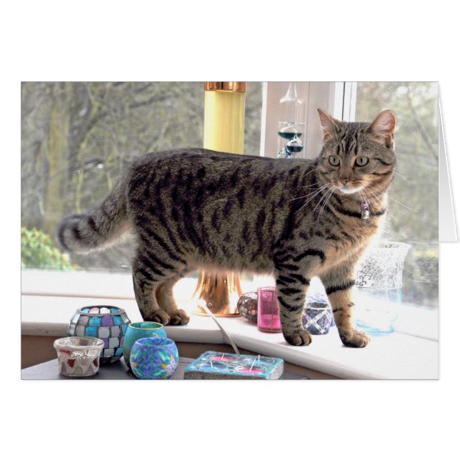 Minnie (Vorderseite (Horizontal))