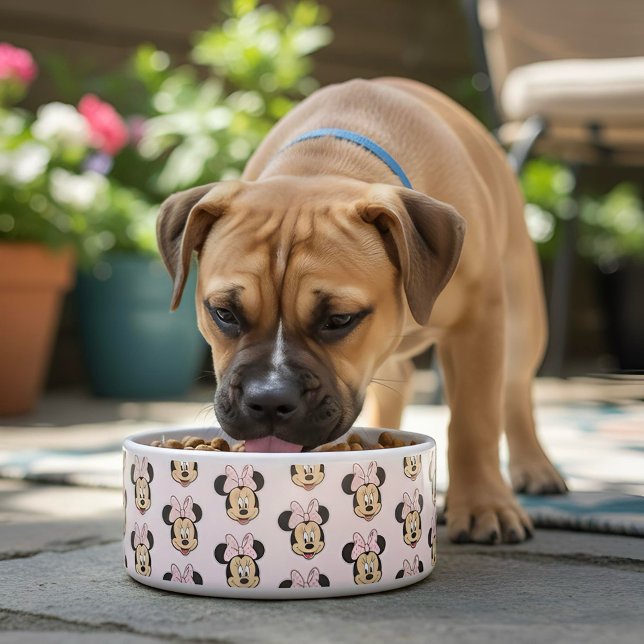 Minnie Bowl Napf (Von Creator hochgeladen)