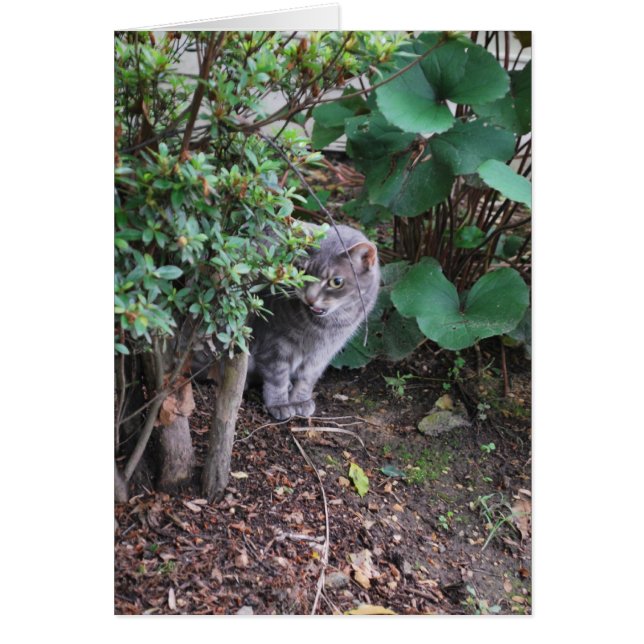 Minnie im Garten (Vorne)