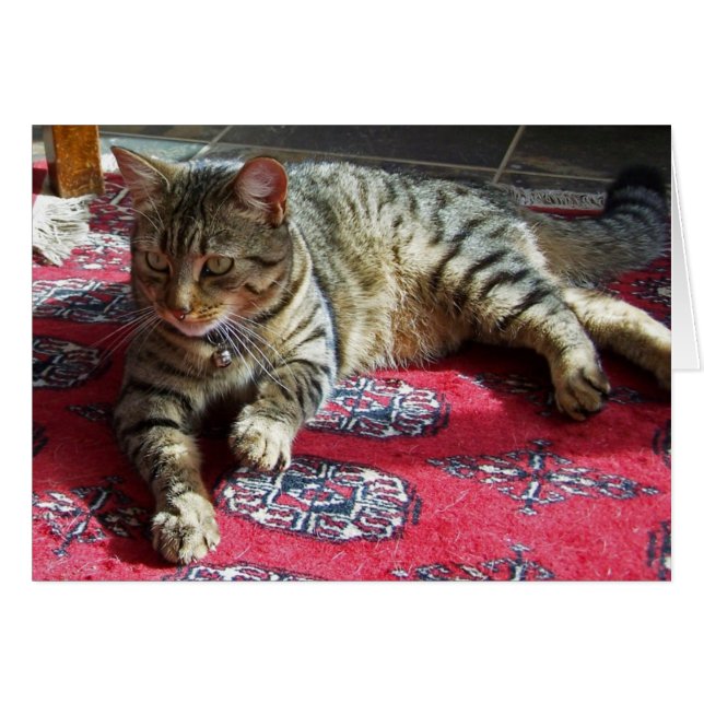 Minnie in Sunshine2 (Vorderseite (Horizontal))