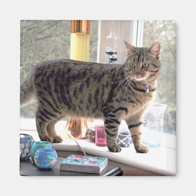 Minnie Magnet (Vorne)