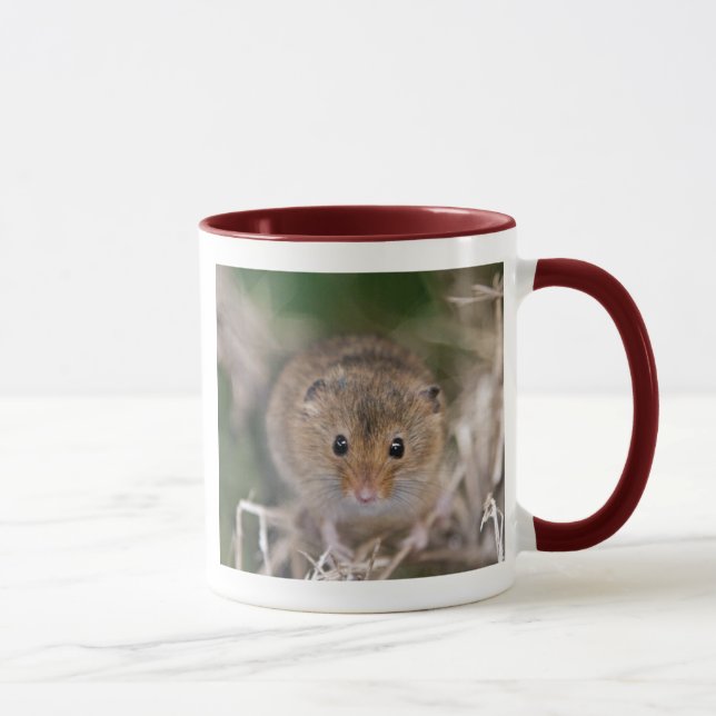 Minnie Tasse (Rechts)