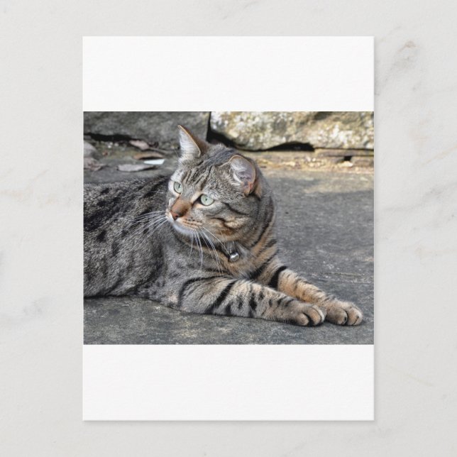 Minnie the Minx Postkarte (Vorderseite)