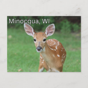 Minocqua Wisconsin Postkarte