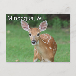 Minocqua Wisconsin Postkarte