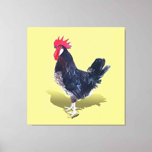 Minorca Rooster Leinwanddruck (Vorderseite)