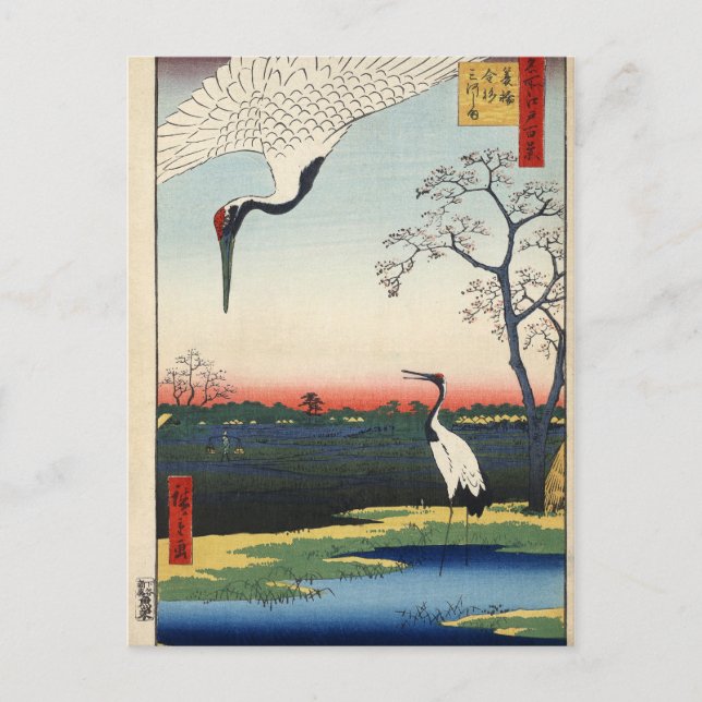 Minowa, Kanasugi, Mikawashima Postkarte (Vorderseite)