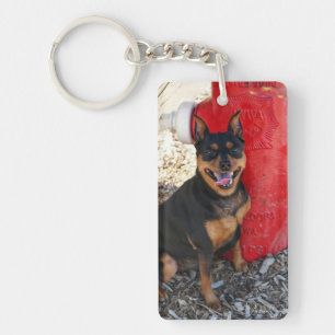 MInPin Glück Schlüsselanhänger