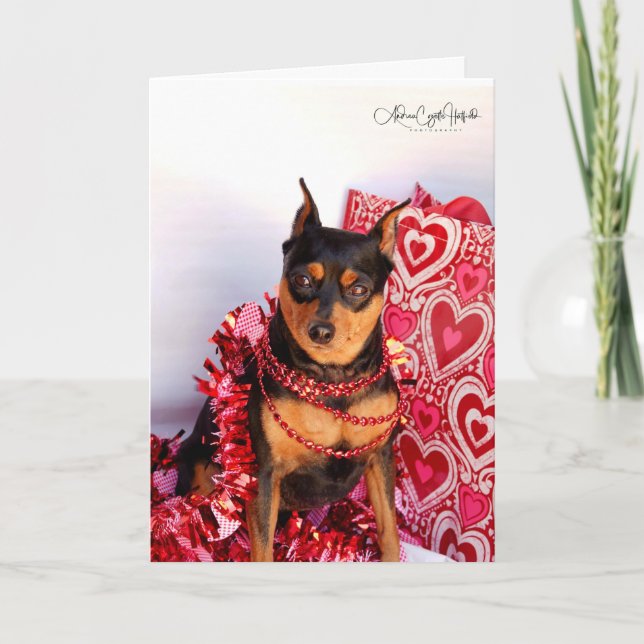 MinPin Karte (Vorderseite)