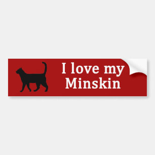 Minskin-Liebe Autoaufkleber