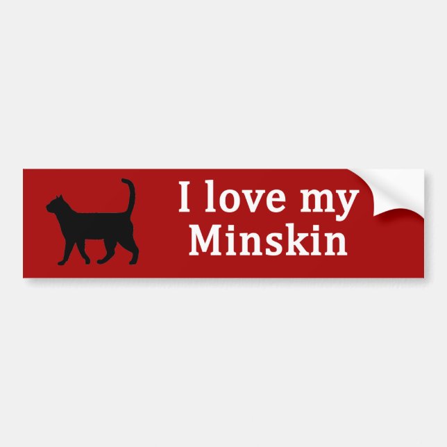 Minskin-Liebe Autoaufkleber (Vorne)