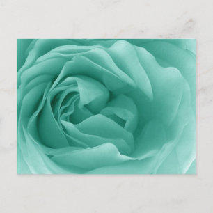 MINT GREEN Nah Eine friedliche Rose Postkarte