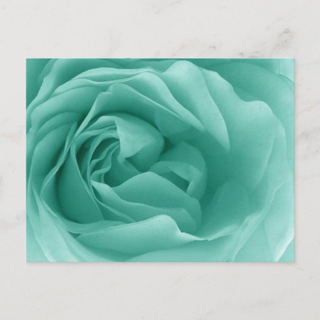 MINT GREEN Nah Eine friedliche Rose Postkarte (Vorderseite)