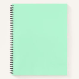 Mint Green Spiral Notebook Notizbuch