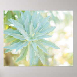 Mint Green Succulent Cactus Blume Nature Fine Art Poster