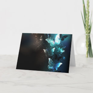 Mint-Night-Schmetterlinge