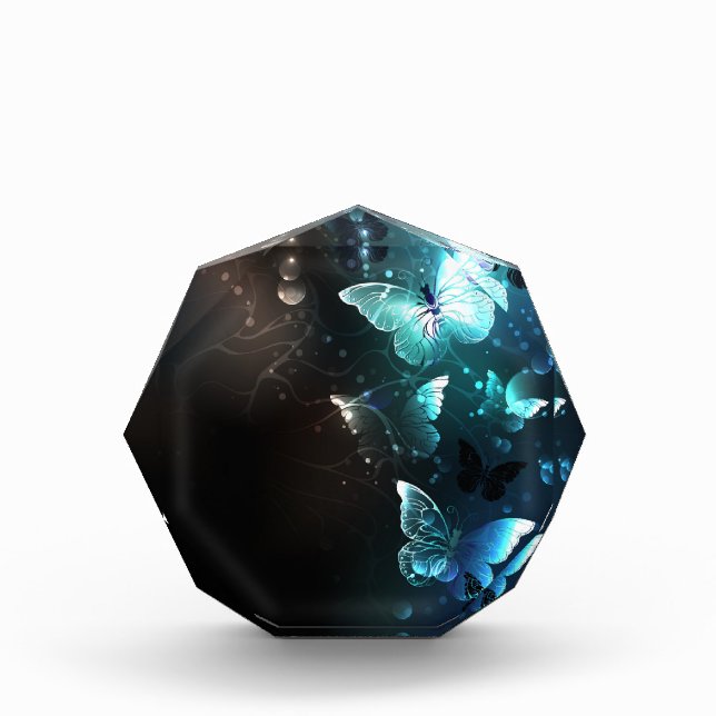 Mint-Night-Schmetterlinge Fotoblock (Vorderseite)