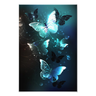 Mint-Night-Schmetterlinge Fotodruck