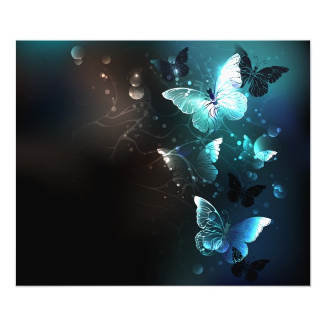 Mint-Night-Schmetterlinge Fotodruck (Vorne)