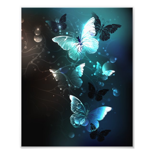 Mint-Night-Schmetterlinge Fotodruck (Vorne)