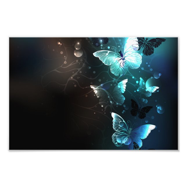 Mint-Night-Schmetterlinge Fotodruck (Vorne)