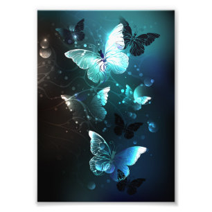Mint-Night-Schmetterlinge Fotodruck