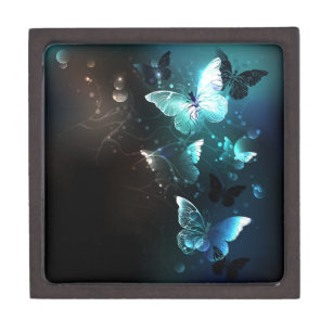 Mint-Night-Schmetterlinge Kiste