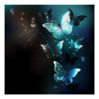 Mint-Night-Schmetterlinge