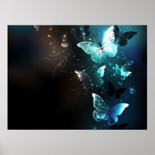 Mint-Night-Schmetterlinge Poster