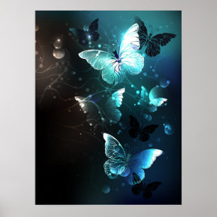 Mint-Night-Schmetterlinge Poster