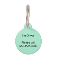 Mint Solid Color