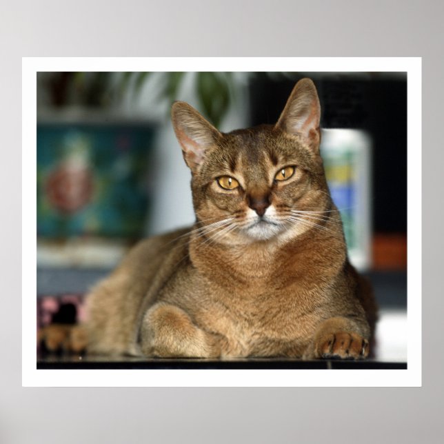 Minu - Minu Poster (Vorne)