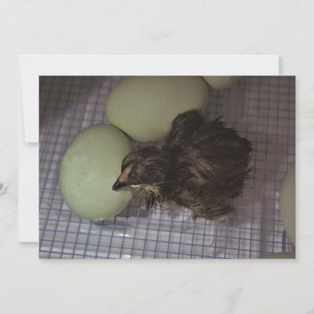 Minuten alt einladung (Vorderseite)