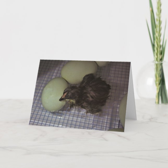 Minuten alt karte (Vorderseite)