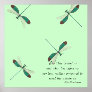 Minze Dragonflies, was hinter uns liegt Poster