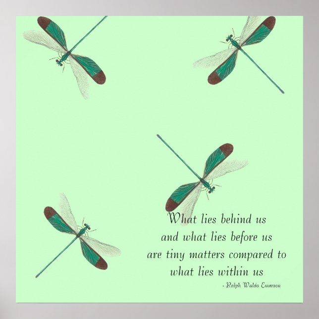 Minze Dragonflies, was hinter uns liegt Poster (Vorne)