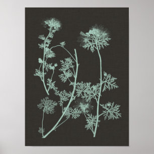 Minze & Holzkohle Naturstudie IV Poster