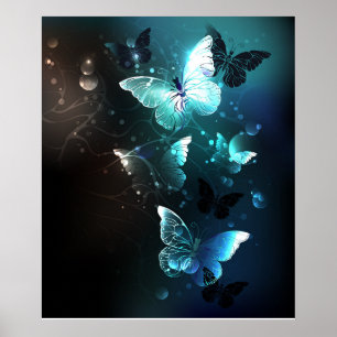 Minznacht Schmetterlinge Poster
