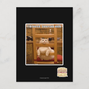 Mir ist langweilig. postkarte