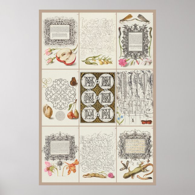 Mira Calligraphiae Monumenta 003 Poster (Vorne)