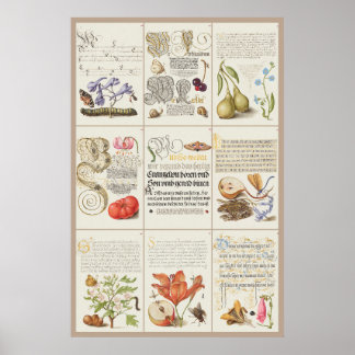 Mira Calligraphiae Monumenta 005 Poster