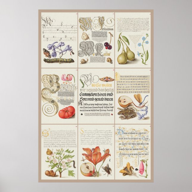 Mira Calligraphiae Monumenta 005 Poster (Vorne)