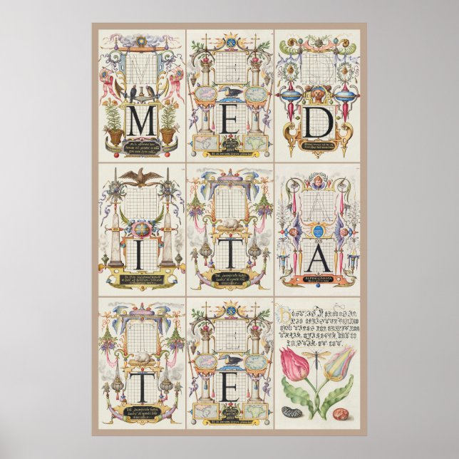 Mira Calligraphiae Monumenta Meditate Poster (Vorne)