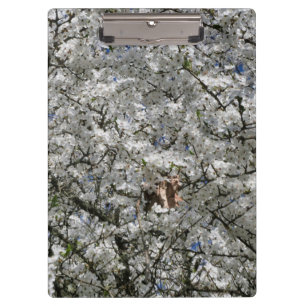 Mirabelle Blossom Clipboard Klemmbrett