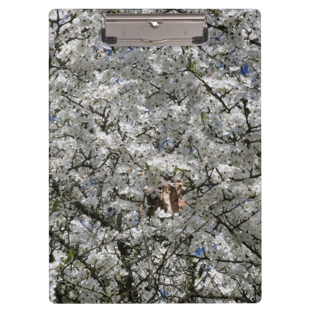 Mirabelle Blossom Clipboard Klemmbrett (Vorderseite)