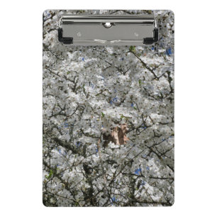 Mirabelle Blossom Mini Clipboard Klemmbrett