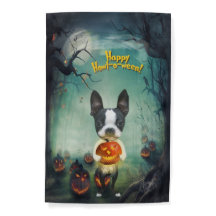 Mirabelle, der bostoner Terrier Happy Halloween Fl
