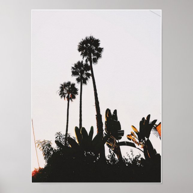 Miracle Mile Palms Poster (Vorne)