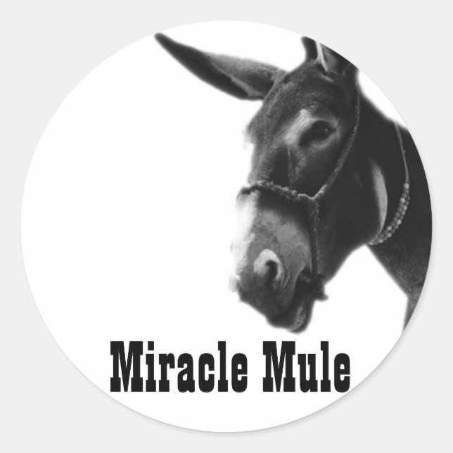 Miracle Mule Stickers (Vorderseite)
